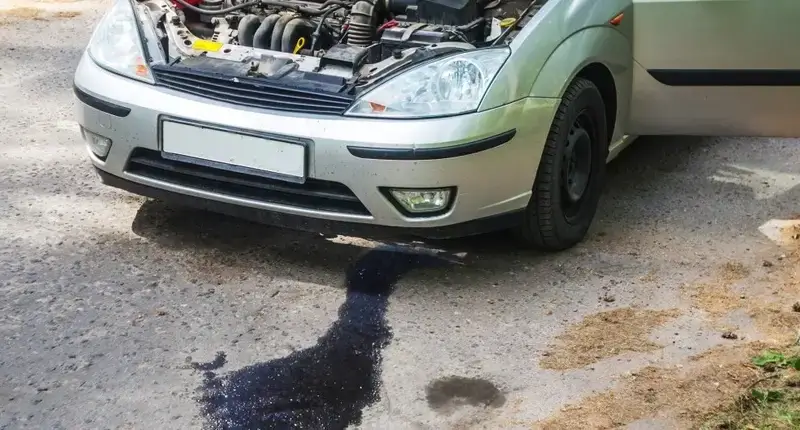 Understanding Black Oil (1)
