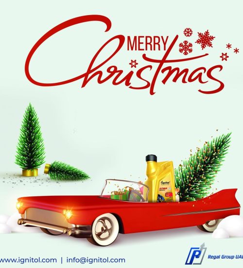Santa Claus in a red convertible car carries a Christmas tree